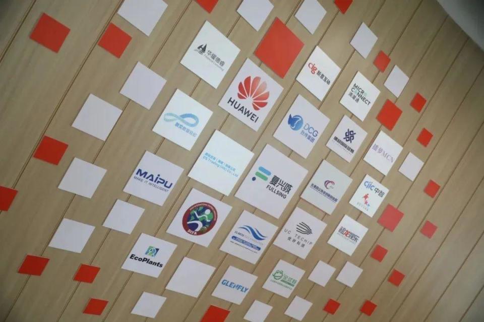 萬千氣象看海南 30位網絡名人開啟中國式現代化建設的海南之旅