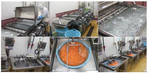 微酸性電解水在日本食品加工廠中的應用實例