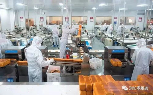瀏陽一企業自動化生產線投產，觸控產品生產實現“以一當十”